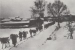 Πομπή ζώων που μεταφέρουν εφόδια.