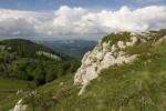 Αlpine meadows 01.tif