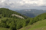Αlpine meadows 03