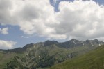 Alpine meadows 04.tif