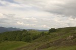 Alpine meadows 06.tif